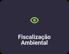 Fiscalização Ambiental