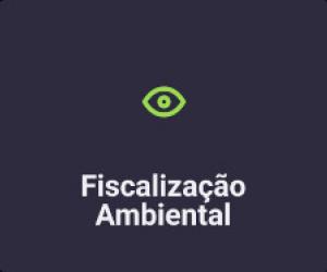 Fiscalização Ambiental